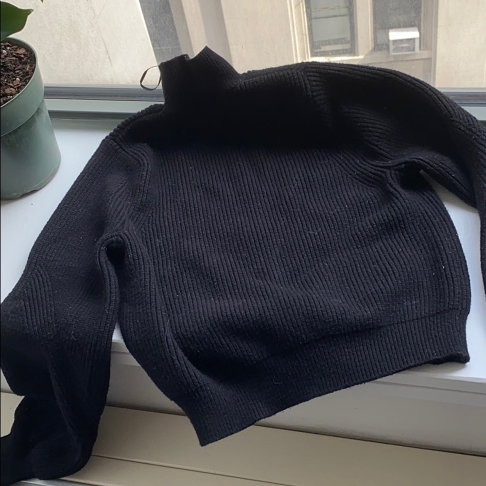 Zara cropped turtle neck sweater